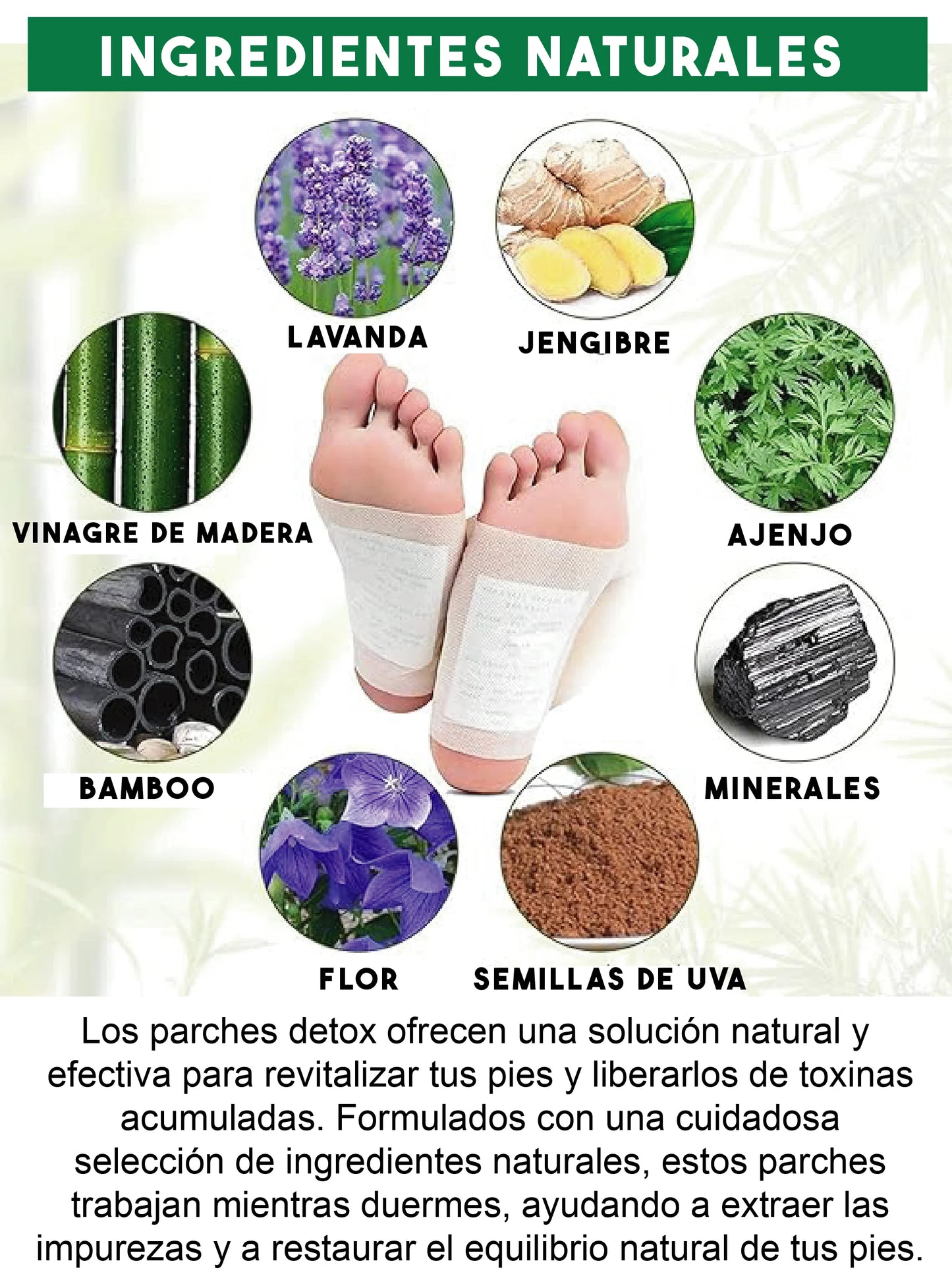 PARCHES DESINTOXICANTES KINOKI™