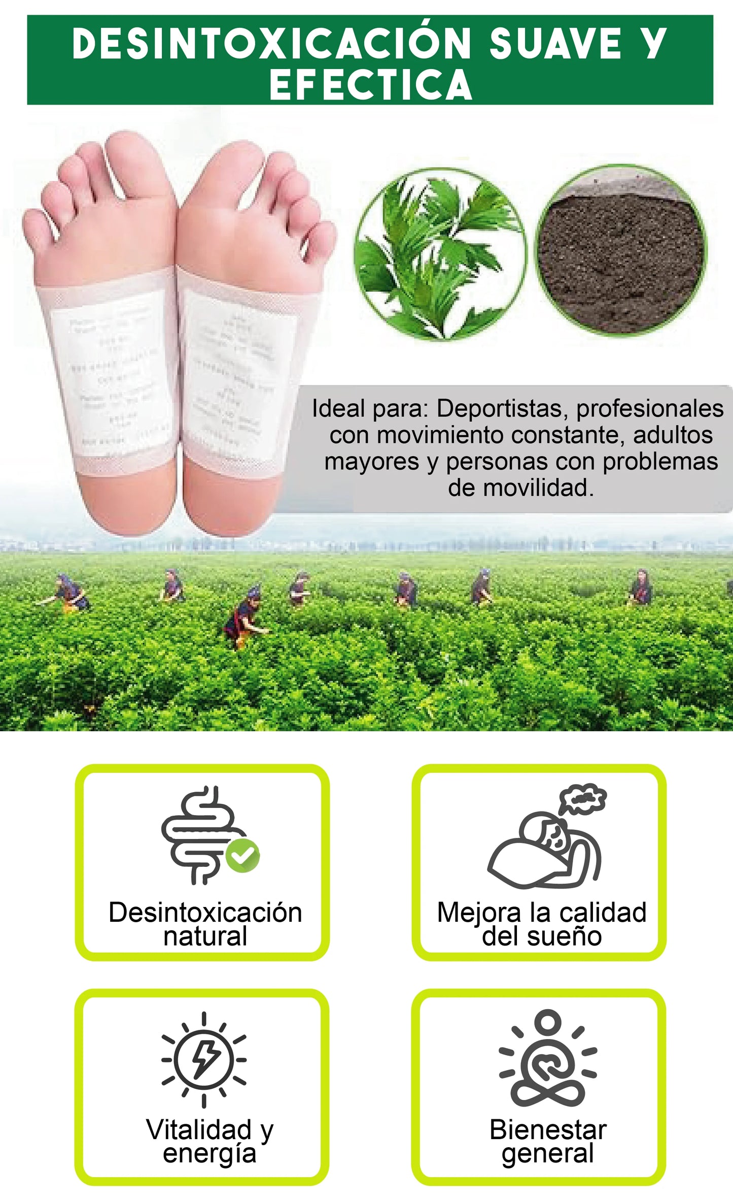 PARCHES DESINTOXICANTES KINOKI™